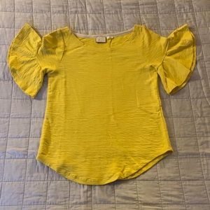 Anthropologie Postmark Cheristel Ruffled-Sleeve Top